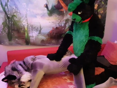 Bunny breeds a kitty Fursuit yiff