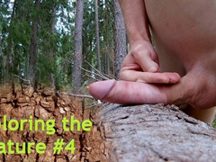 Exploring the nature #4 - Risking it on a Forest path